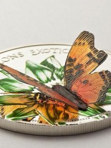 The Most Unusual Coins 
