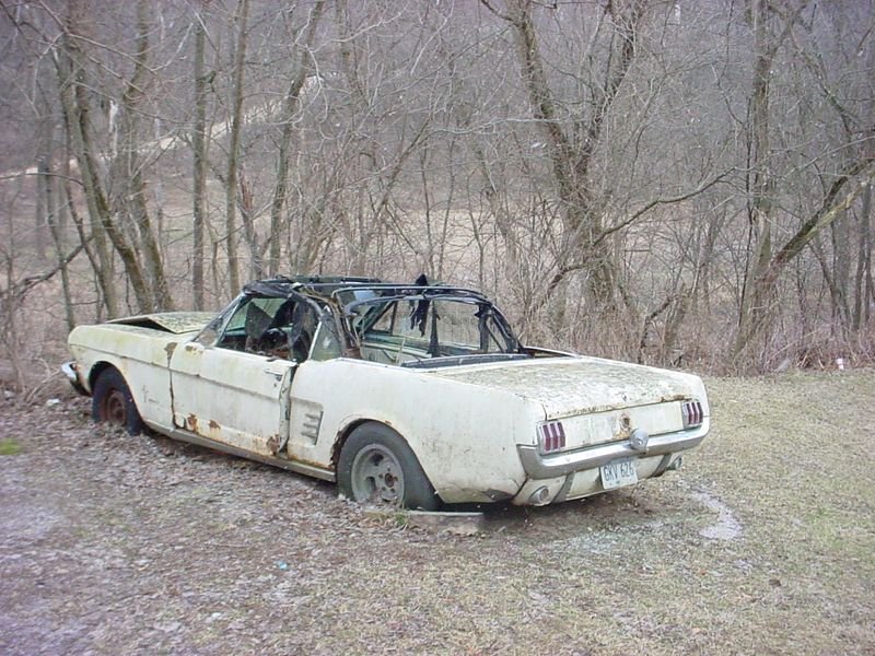 Abandoned cars