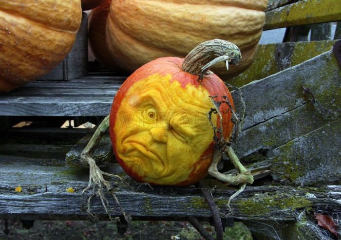 Awesome Creative Pumpkins 