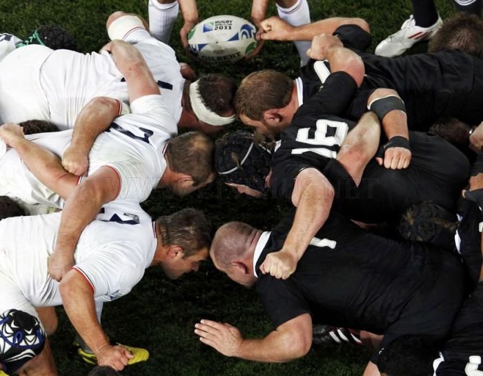 2011 Rugby World Cup 