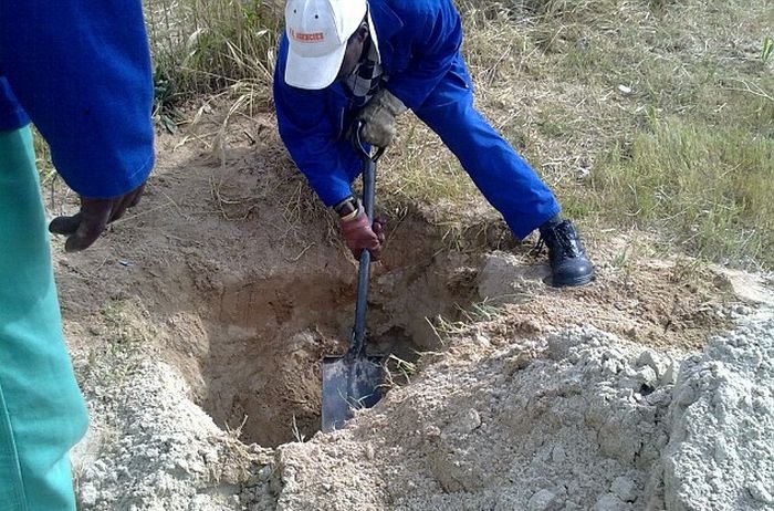 Dog Buried Alive in South Africa 