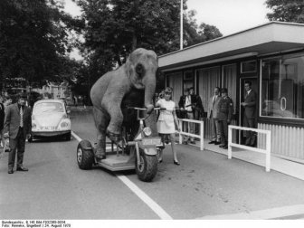 Photos of Old Germany Found in the German Federal Archive 