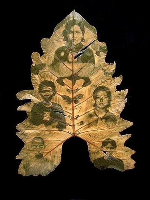 Photos on Leaves 
