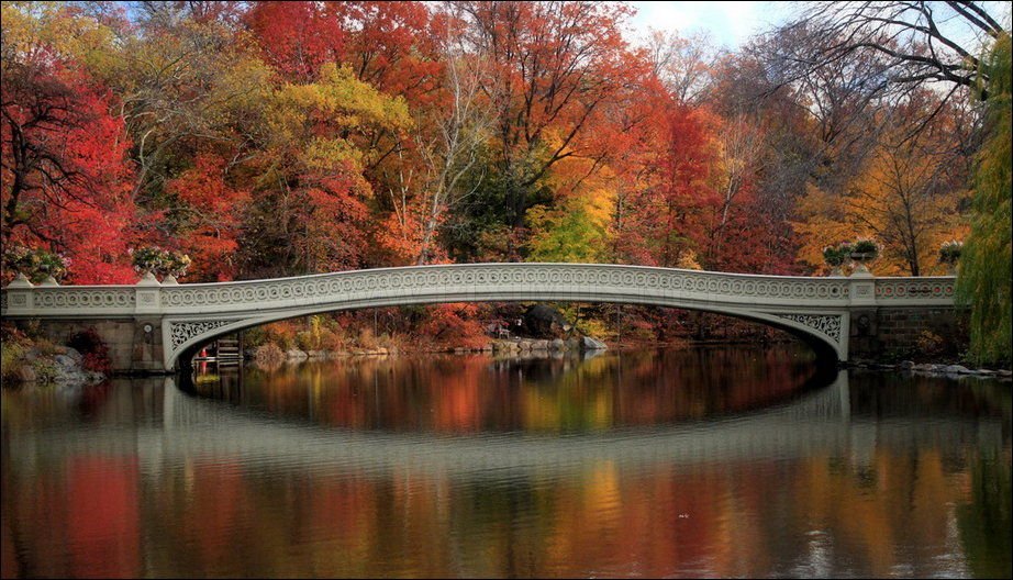 Autumn is beautiful. Золотая осень с мостом фото. Самые красивые места в мире фото осенью. Http://фотто.