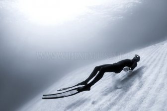 National Geographic Photo Contest 2011 