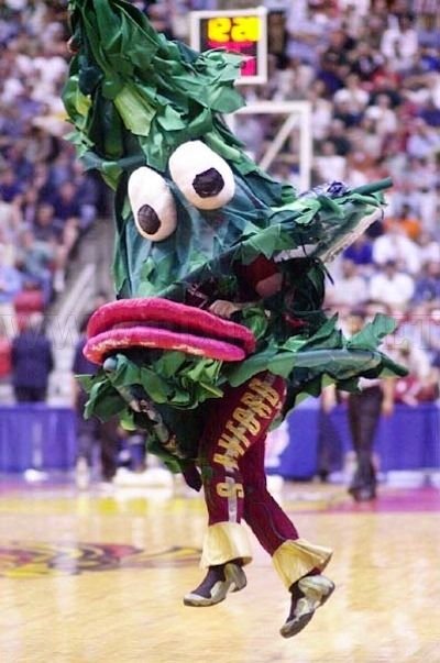 The Most Unusual College Mascots 