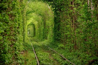 Tunnel of Love