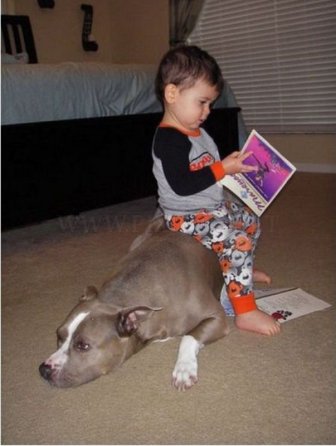 Best Friends - Kids and Pets