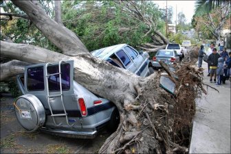 Harrowing Windstorm Leaves Los Angeles Upside Down