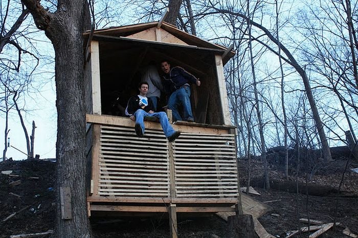 Construction of a Tree Fort 