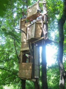 Construction of a Tree Fort 