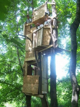 Construction of a Tree Fort 