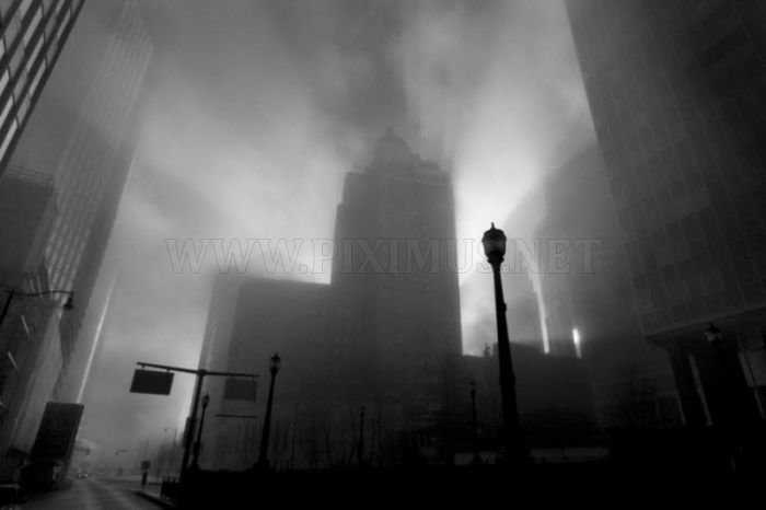 Fog Photography, part 2