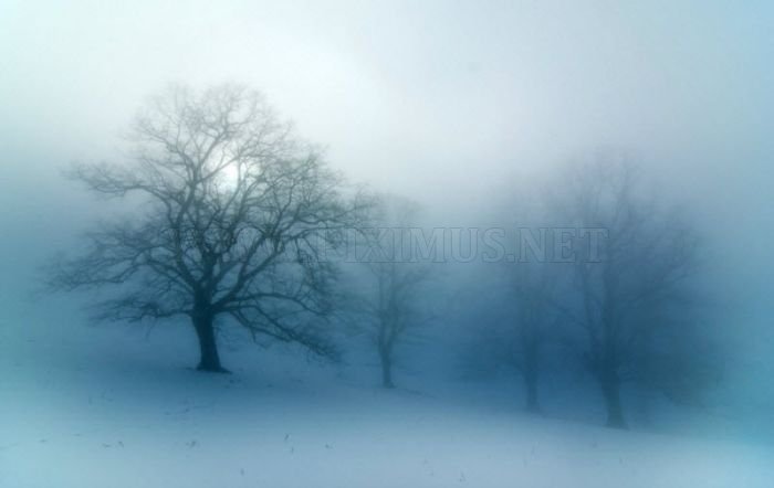 Fog Photography, part 2