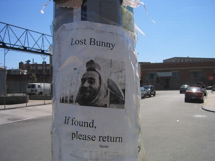 The Best of Lost And Found Signs, part 2