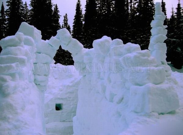 Great Snow Forts 