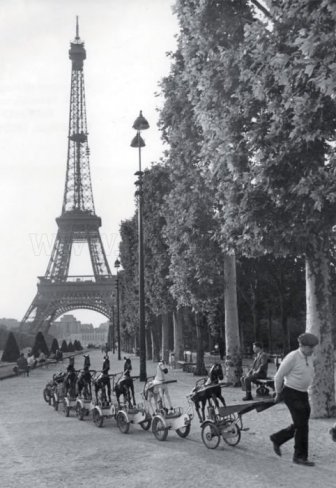 Paris in 1940-50s 