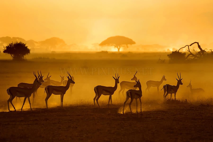 Astonishing Beauty of Kenya