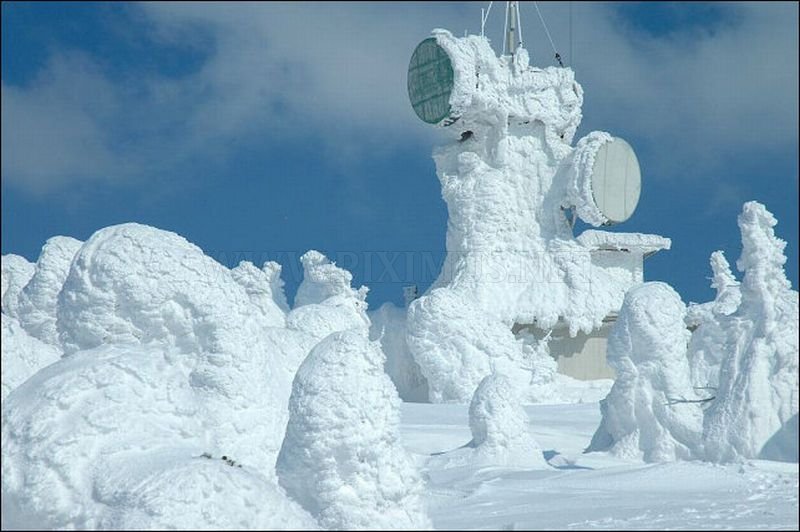 Snow Monsters in Japan