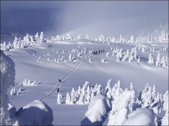 Snow Monsters in Japan