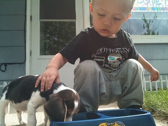Boy Teaches His Puppy How to Eat 