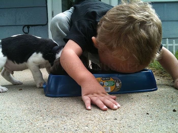 Boy Teaches His Puppy How to Eat 