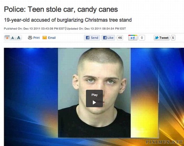 Crazy Things That Happened in Florida Last Year 