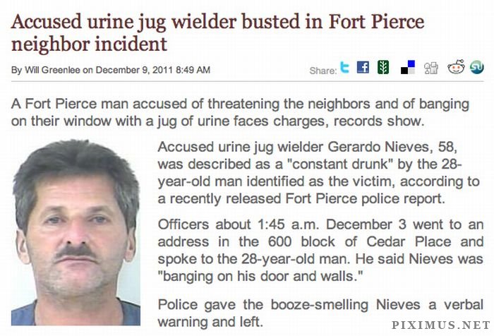 Crazy Things That Happened in Florida Last Year 