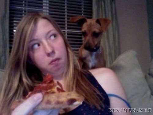 Eating Pizza With Dogs 