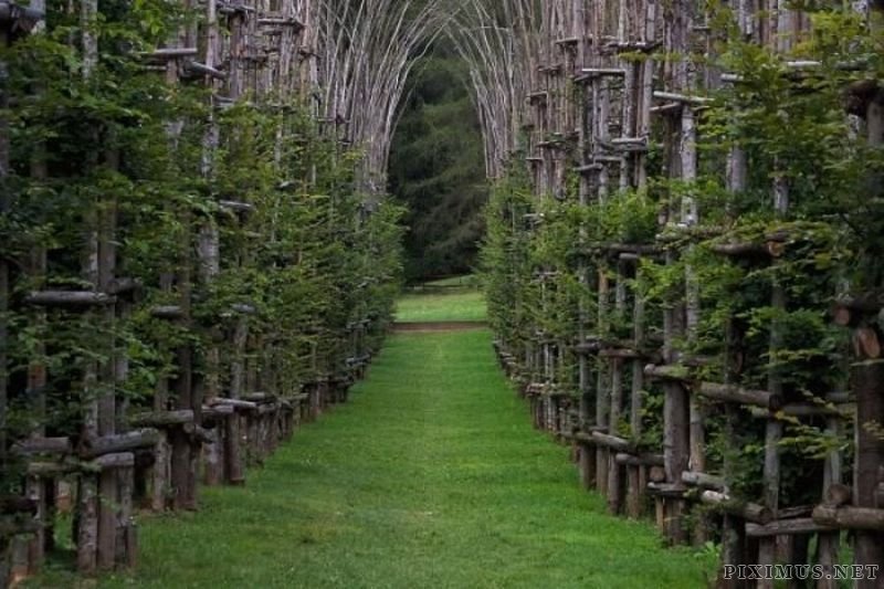 Natural Cathedral in Italy  