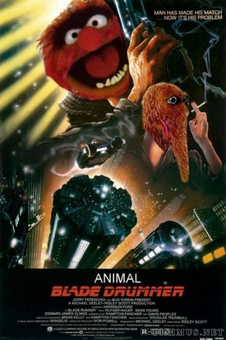Muppet Film Mayhem  