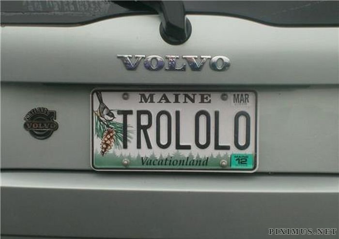Cool License Plates 