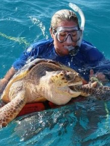 Unusual Rescue of a Sea Turtle  