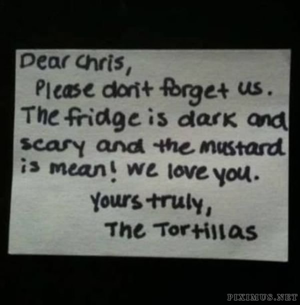 Hysterical Fridge Notes 