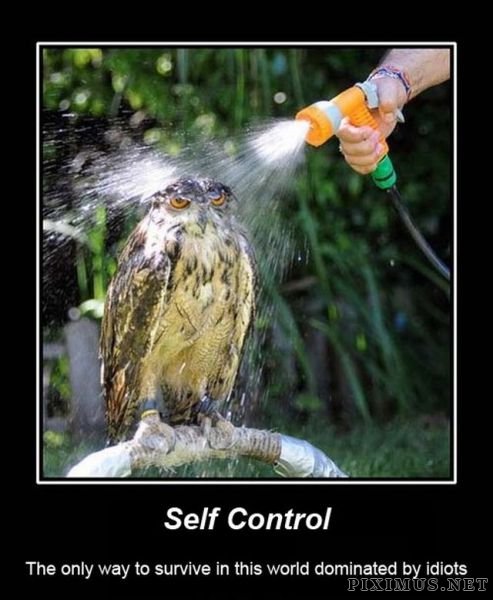Funny Demotivational Posters , part 33