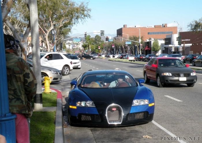 Dog in Bugatti Veyron 