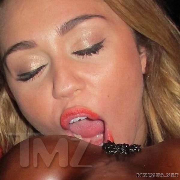 Miley Cyrus Licks Genitally Birthday Cake 