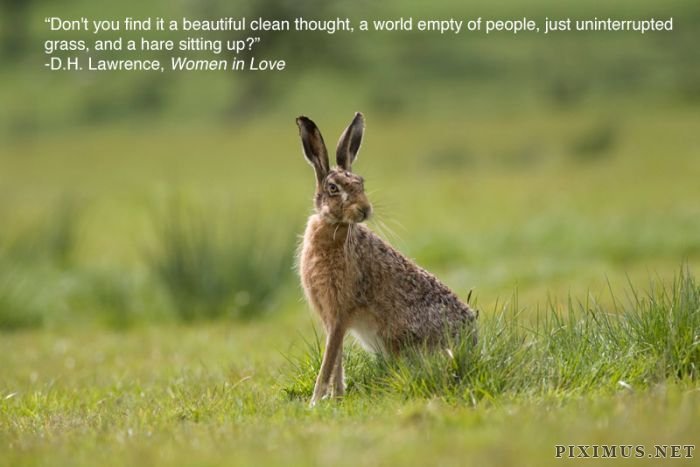 Inspiring Pictures For People Who Love Animals 