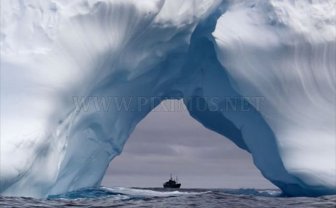 Incredible Icebergs