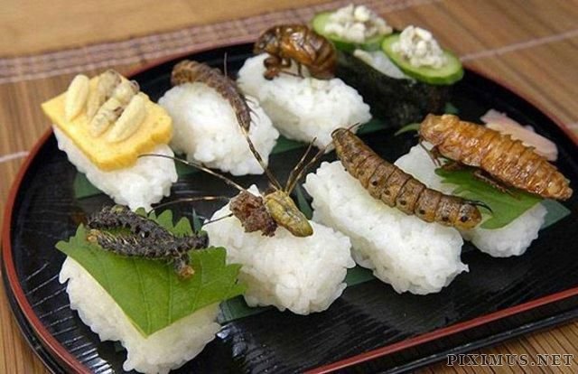 Creepy Crawly Japanese Delicacies  