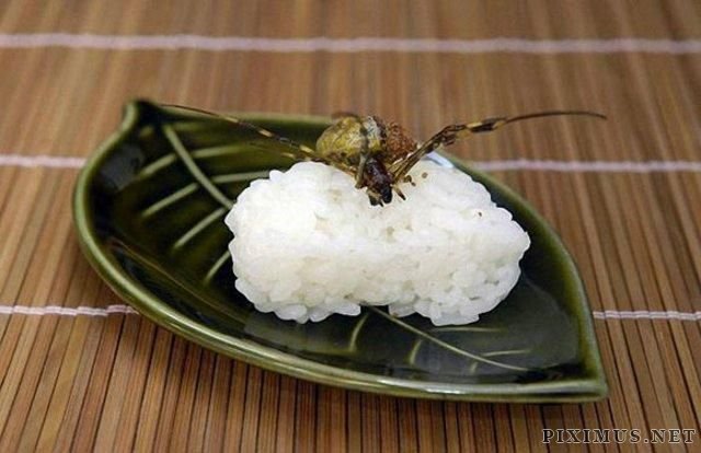 Creepy Crawly Japanese Delicacies  