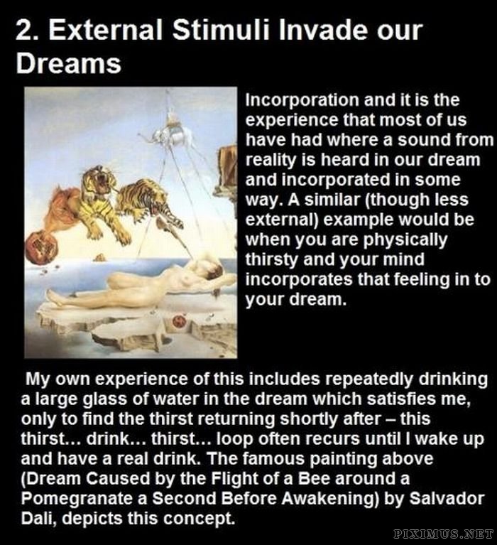Facts About Dreams 