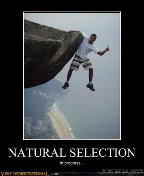 Funny Demotivational Posters , part 39