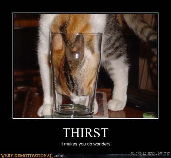Funny Demotivational Posters , part 39