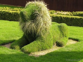 Topiary Art 