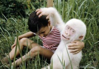 Great Pictures of Albino Animals  