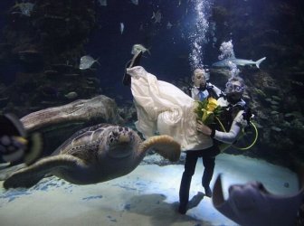 Underwater Wedding 