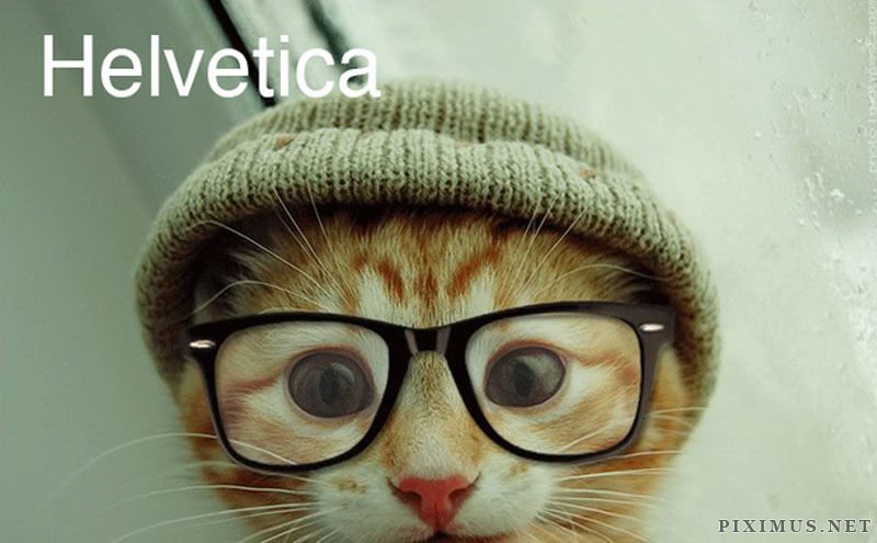 Cats That Must Have Inspired Popular Fonts  