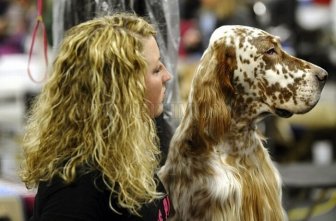 Backstage At The 135th Annual Westminster Dog Show 