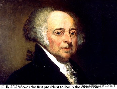 A few random facts about our USA Presidents